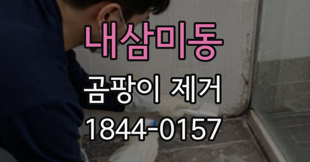내삼미동 곰팡이 제거