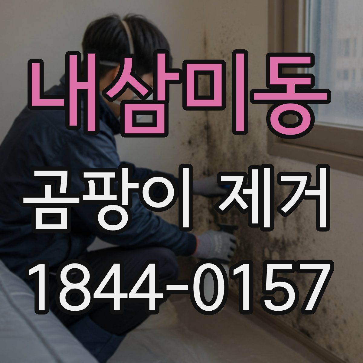 내삼미동 곰팡이 제거