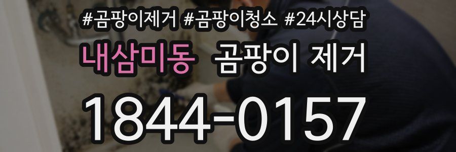 내삼미동 곰팡이 제거