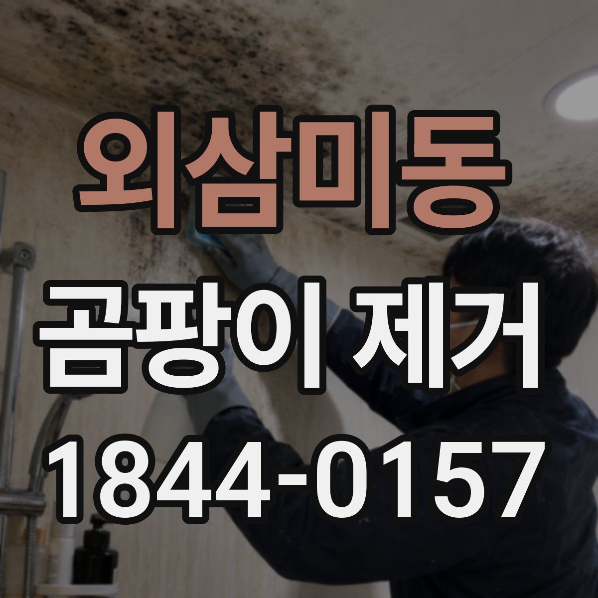 외삼미동 곰팡이 제거