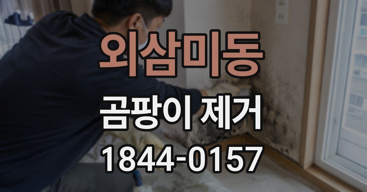 외삼미동 곰팡이 제거