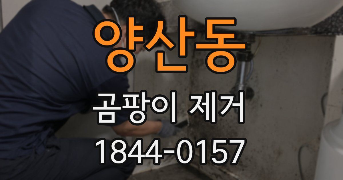 양산동 곰팡이 제거