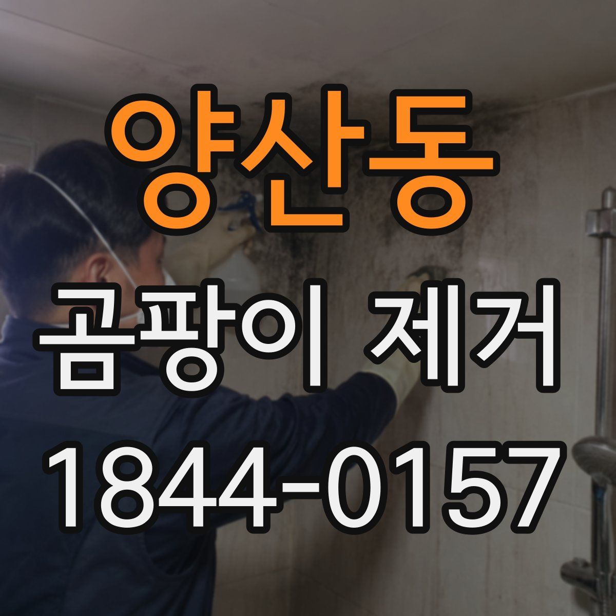 양산동 곰팡이 제거