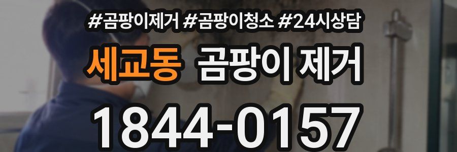 세교동 곰팡이 제거