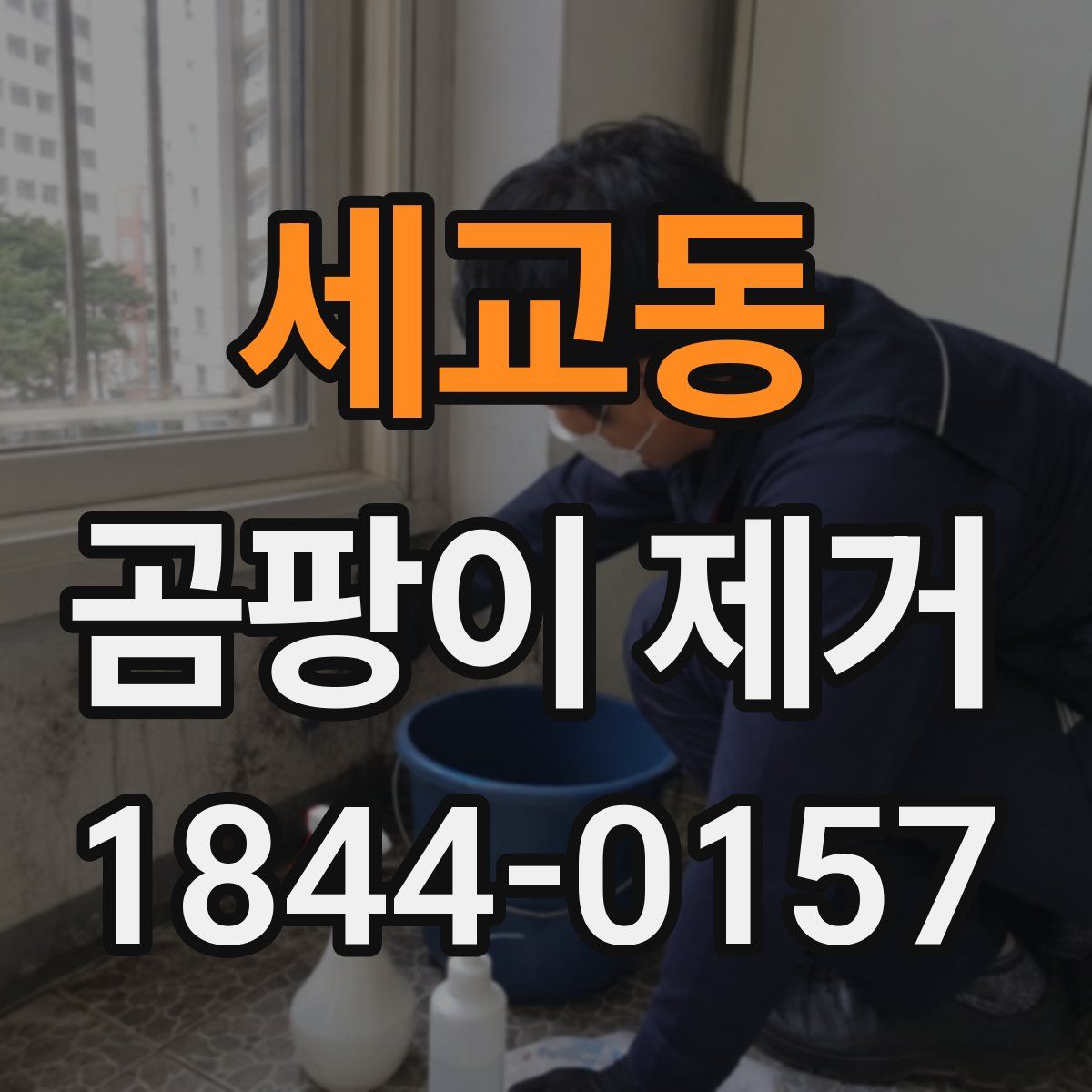 세교동 곰팡이 제거