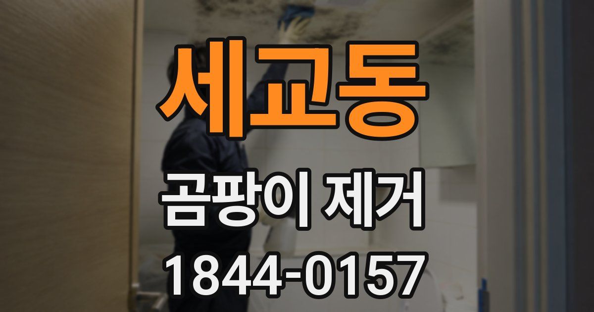 세교동 곰팡이 제거