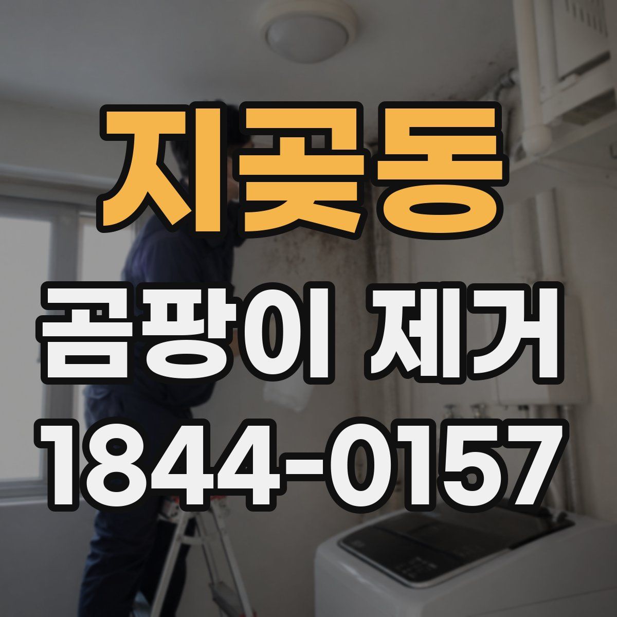 지곶동 곰팡이 제거
