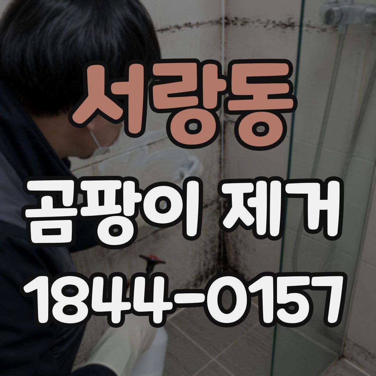 서랑동 곰팡이 제거