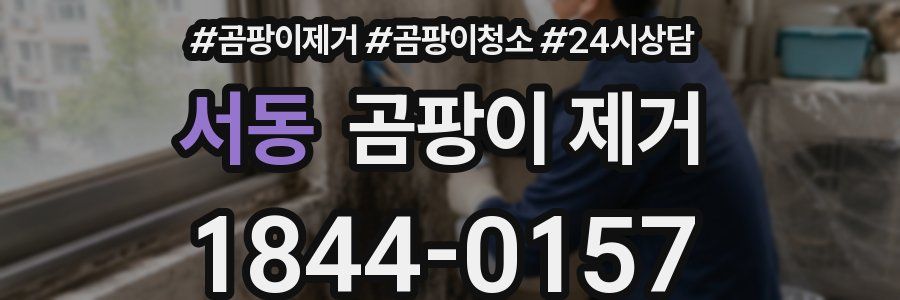 서동 곰팡이 제거