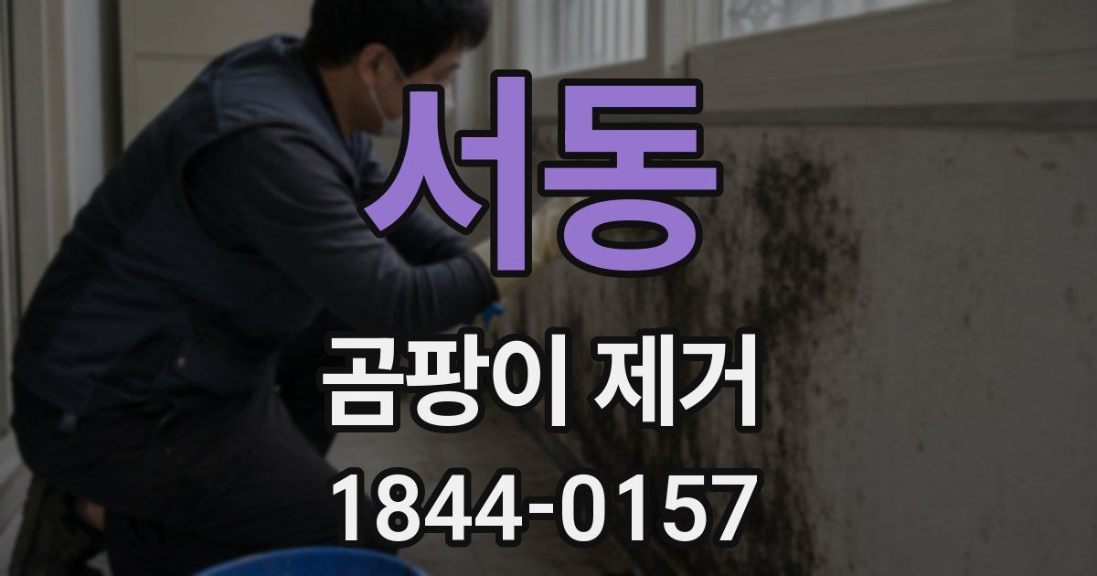 서동 곰팡이 제거