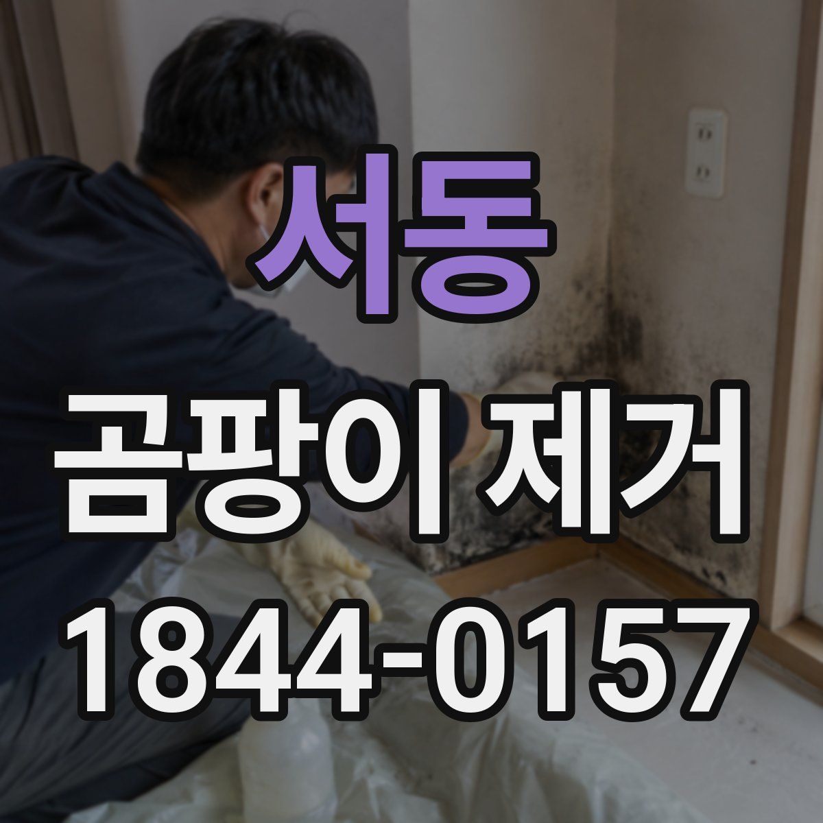 서동 곰팡이 제거