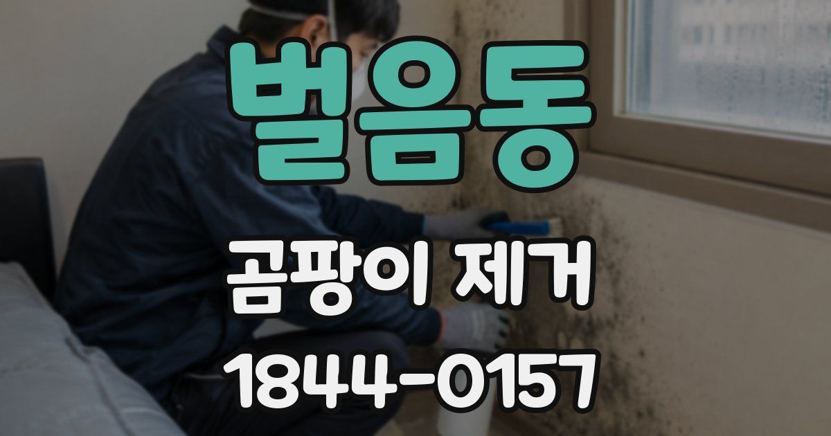 벌음동 곰팡이 제거