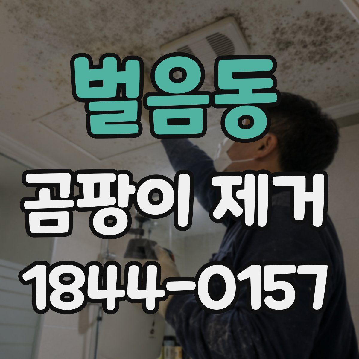 벌음동 곰팡이 제거