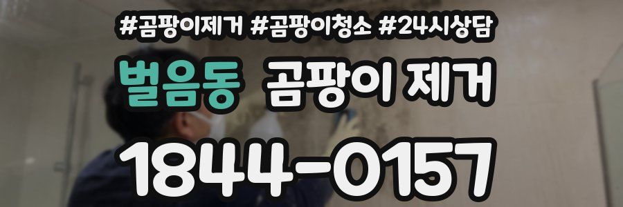 벌음동 곰팡이 제거