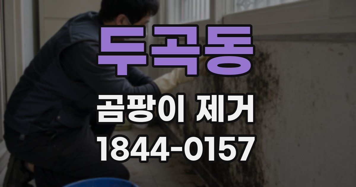 두곡동 곰팡이 제거