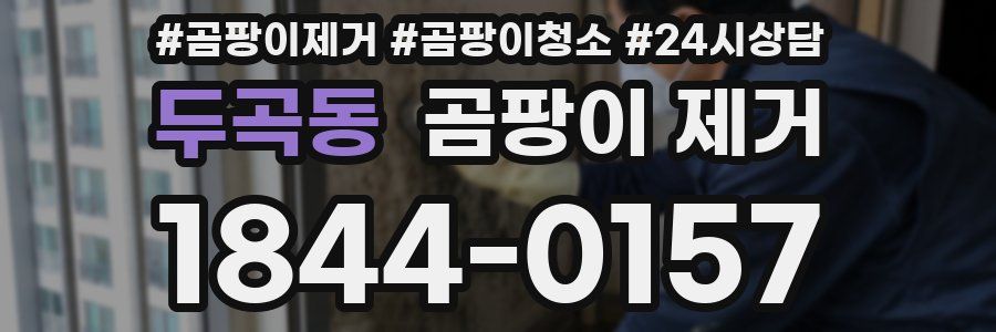 두곡동 곰팡이 제거