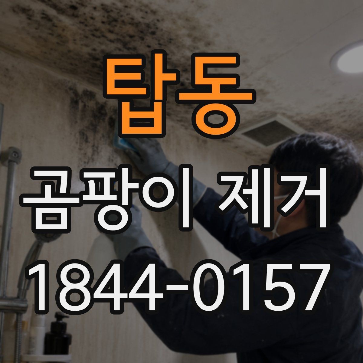 탑동 곰팡이 제거 환기 부족한 공간을 말리는 순서