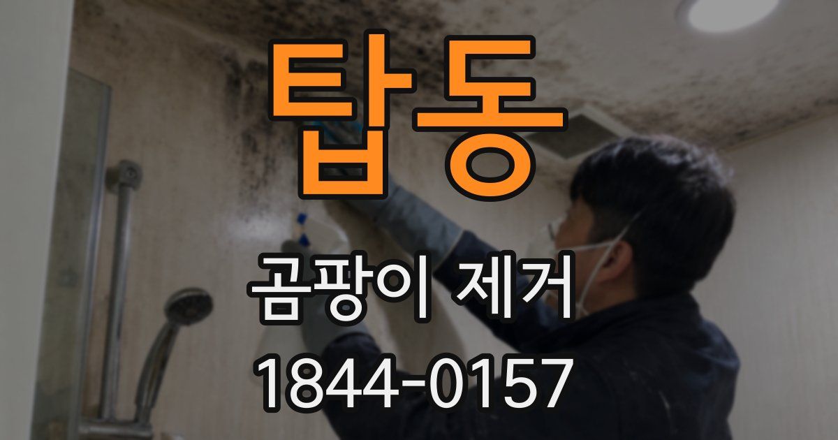 탑동 곰팡이 제거