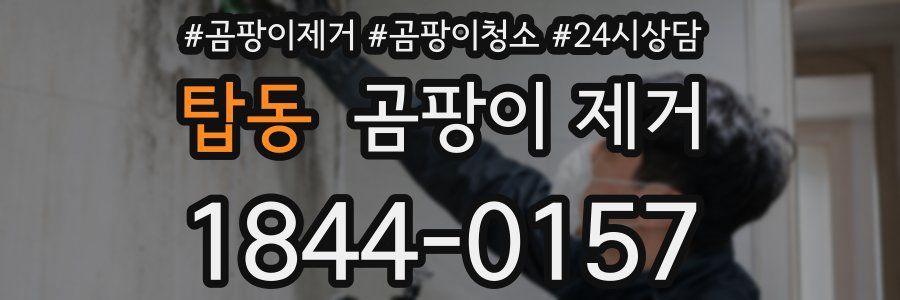 탑동 곰팡이 제거