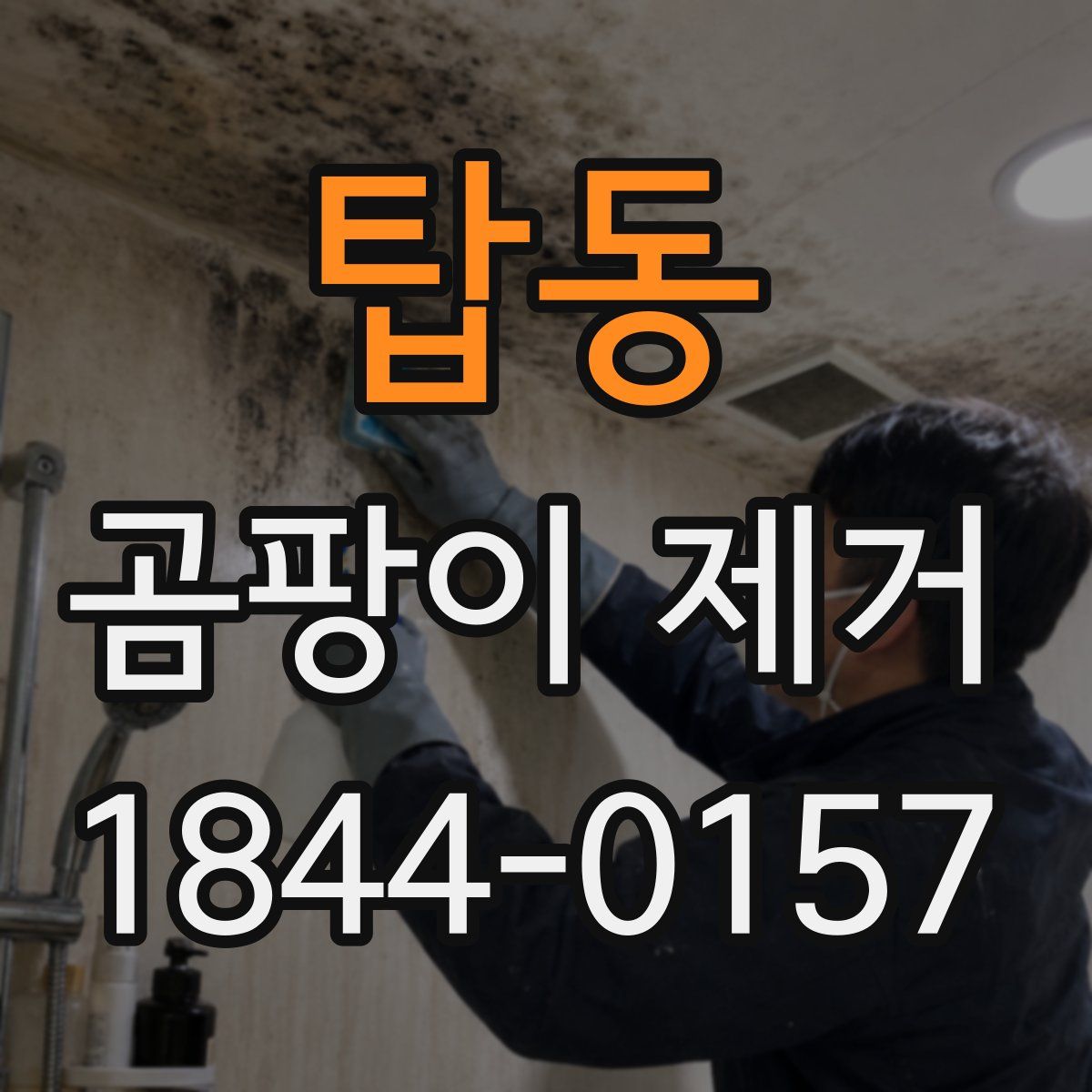 탑동 곰팡이 제거