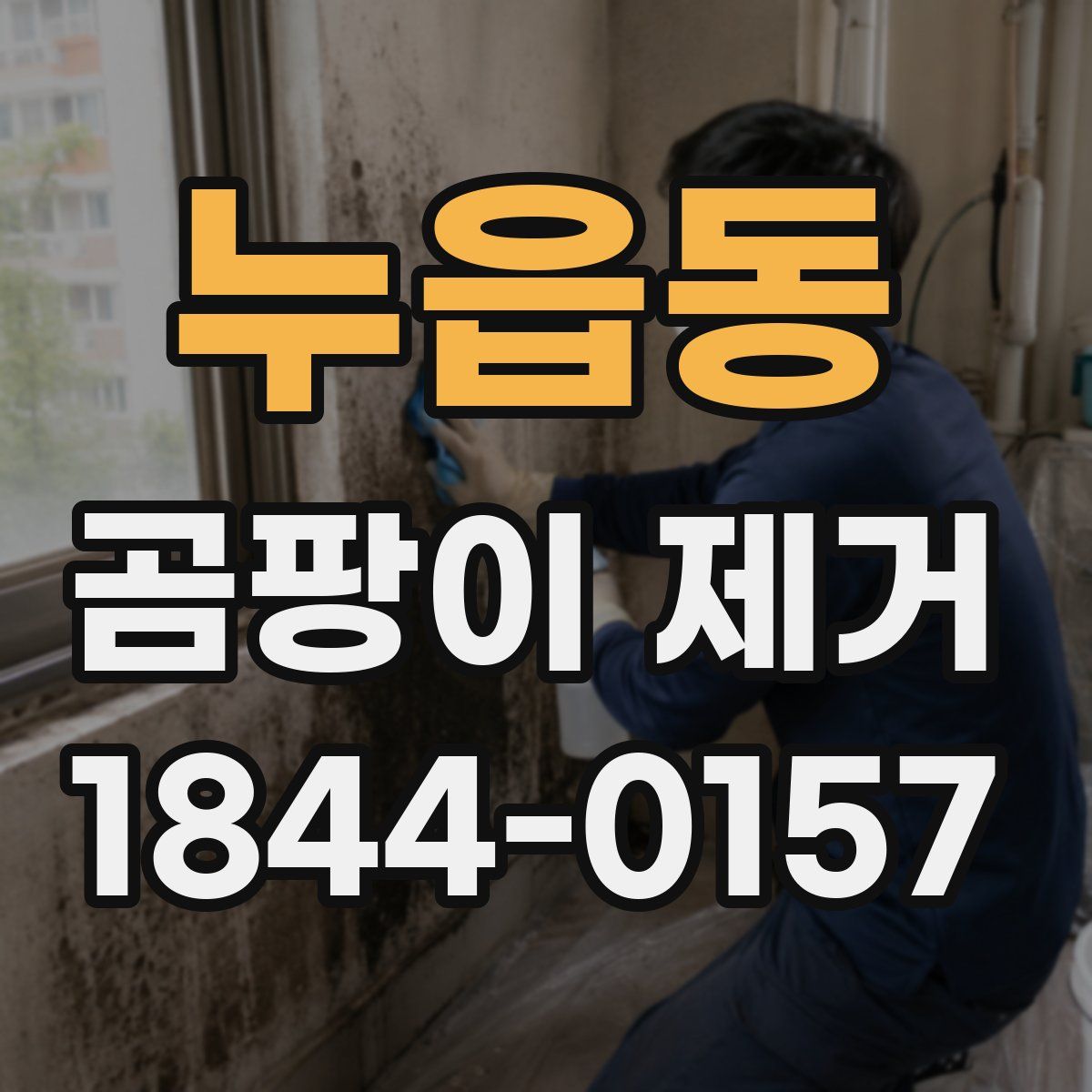 누읍동 곰팡이 제거