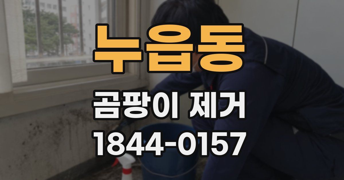 누읍동 곰팡이 제거