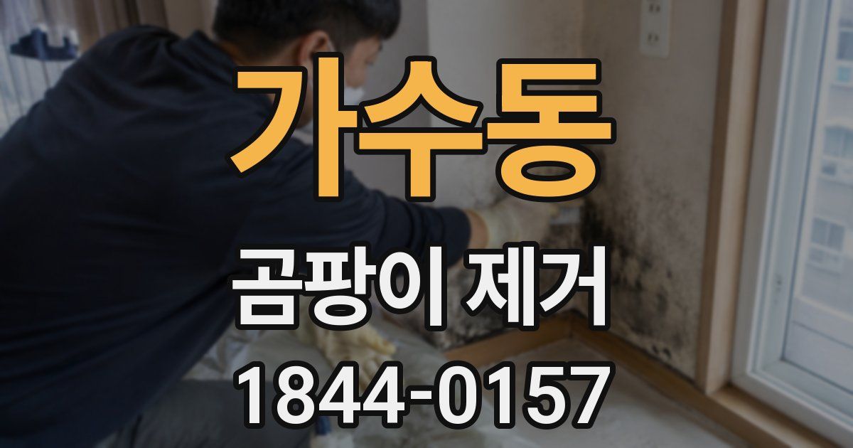 가수동 곰팡이 제거