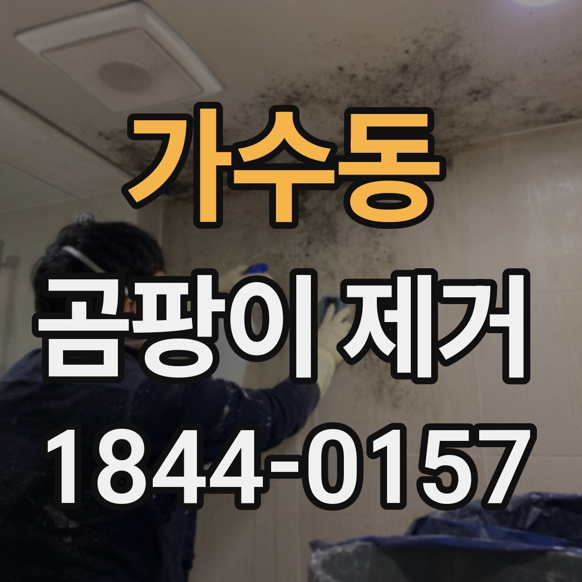 가수동 곰팡이 제거