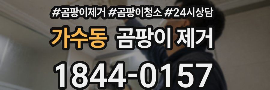 가수동 곰팡이 제거