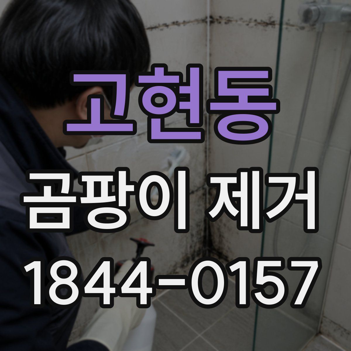 고현동 곰팡이 제거