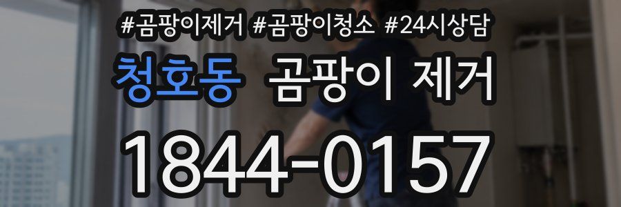 청호동 곰팡이 제거