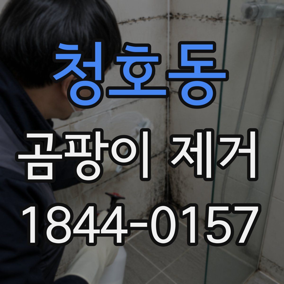 청호동 곰팡이 제거