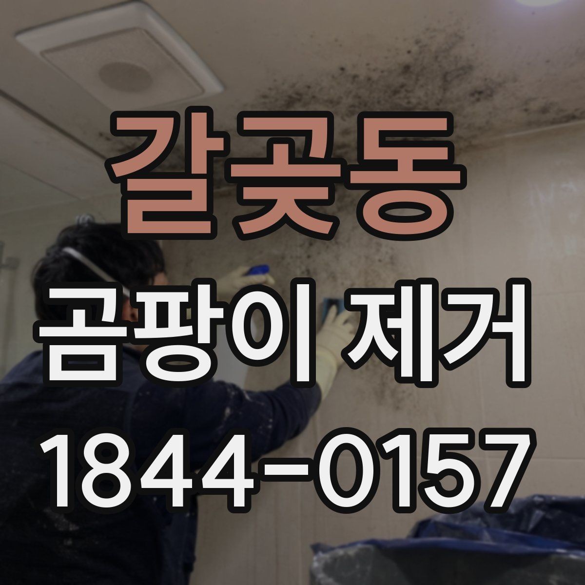 갈곶동 곰팡이 제거 창틀, 실리콘 구간 점검이 중요한 까닭