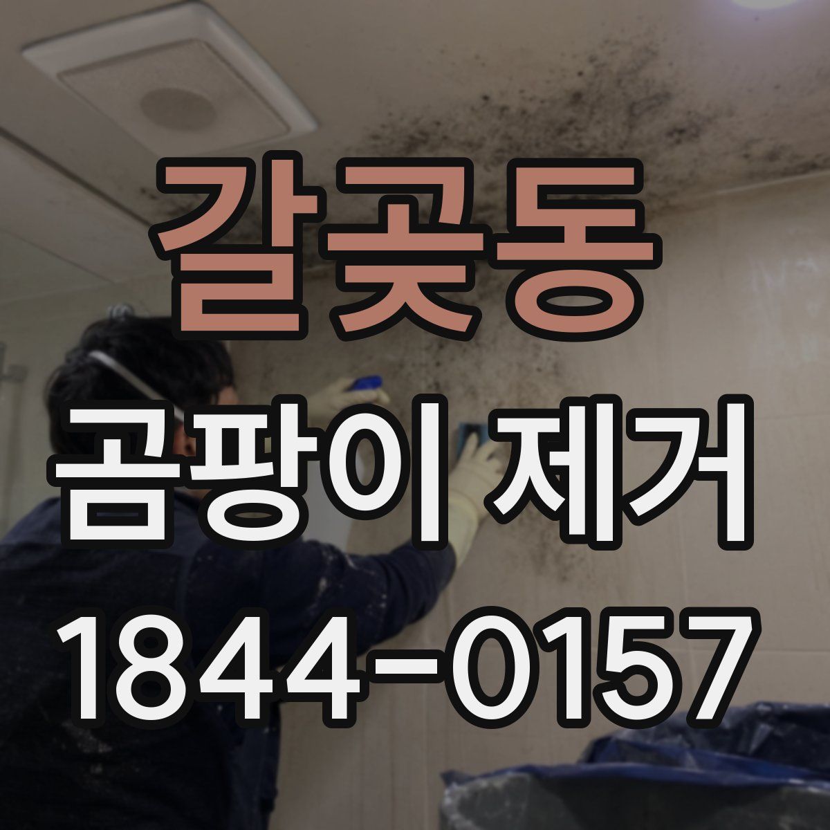 갈곶동 곰팡이 제거