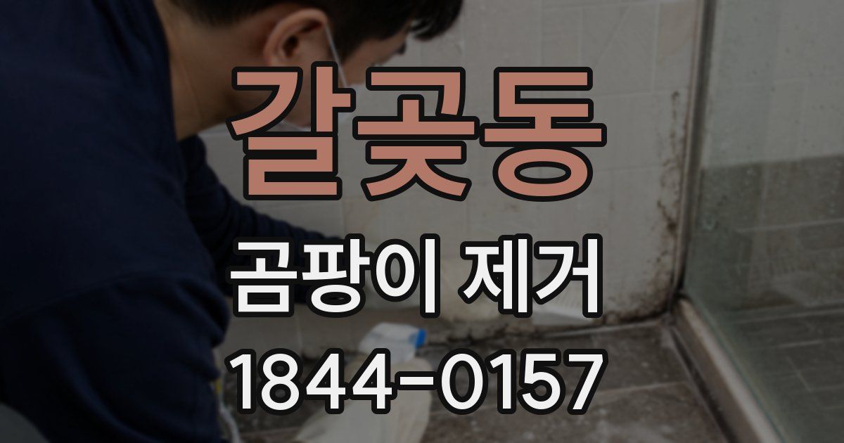 갈곶동 곰팡이 제거