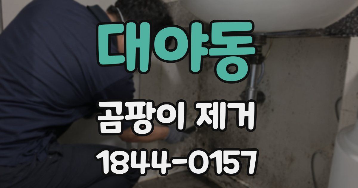 대야동 곰팡이 제거