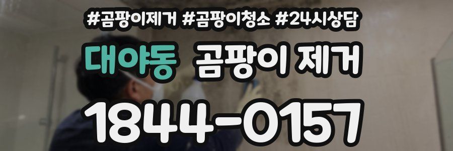 대야동 곰팡이 제거