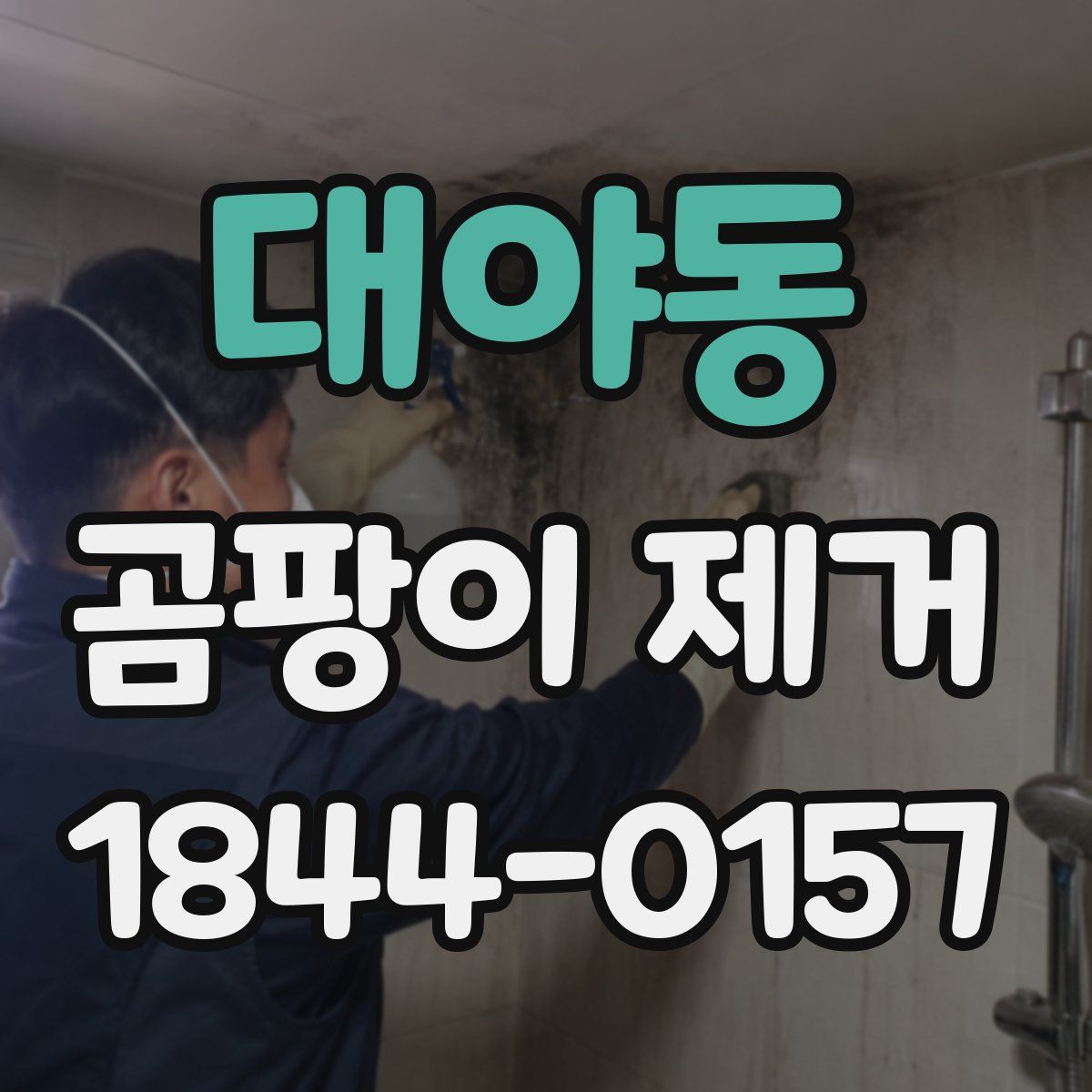 대야동 곰팡이 제거