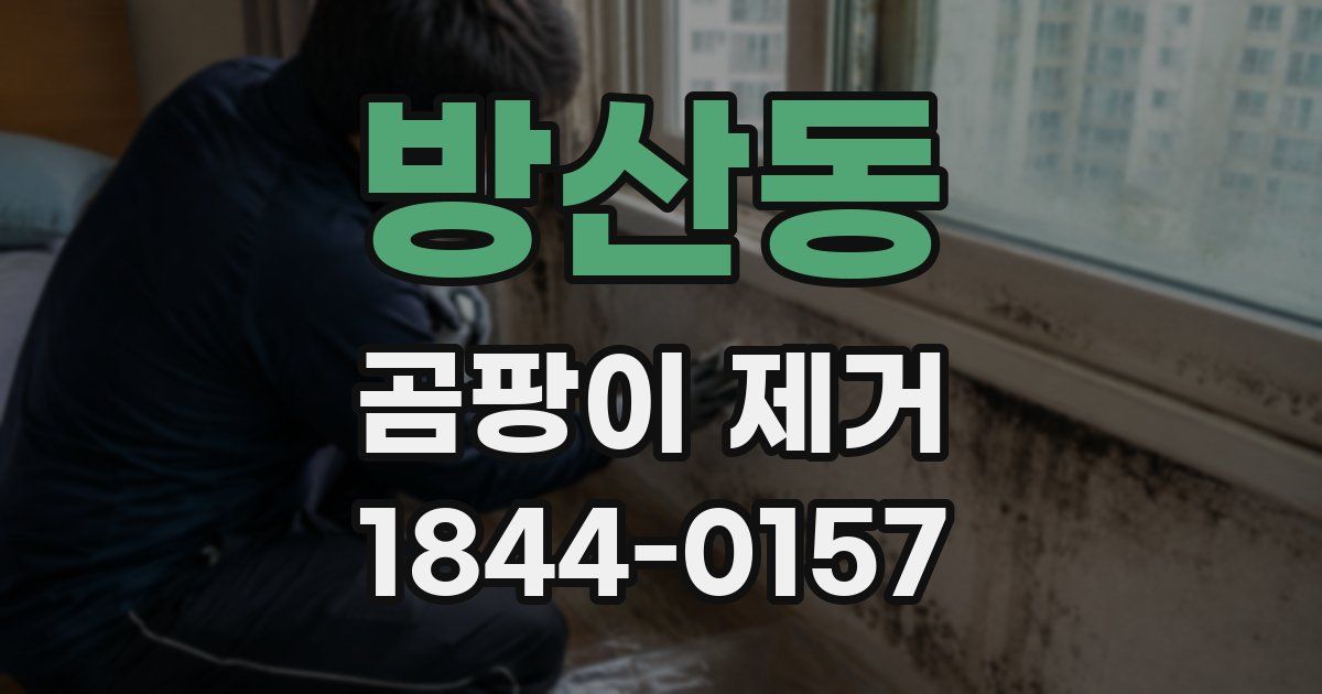 방산동 곰팡이 제거