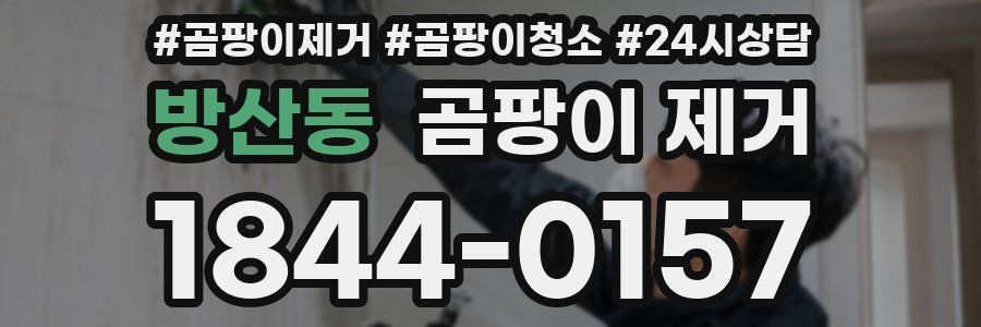 방산동 곰팡이 제거