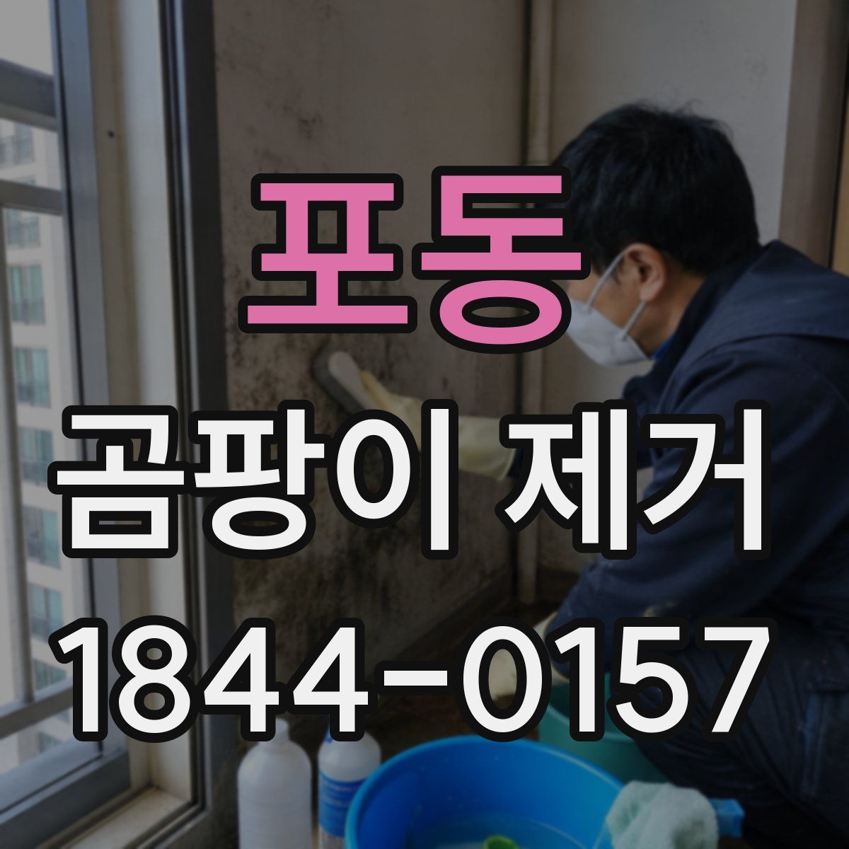 포동 곰팡이 제거