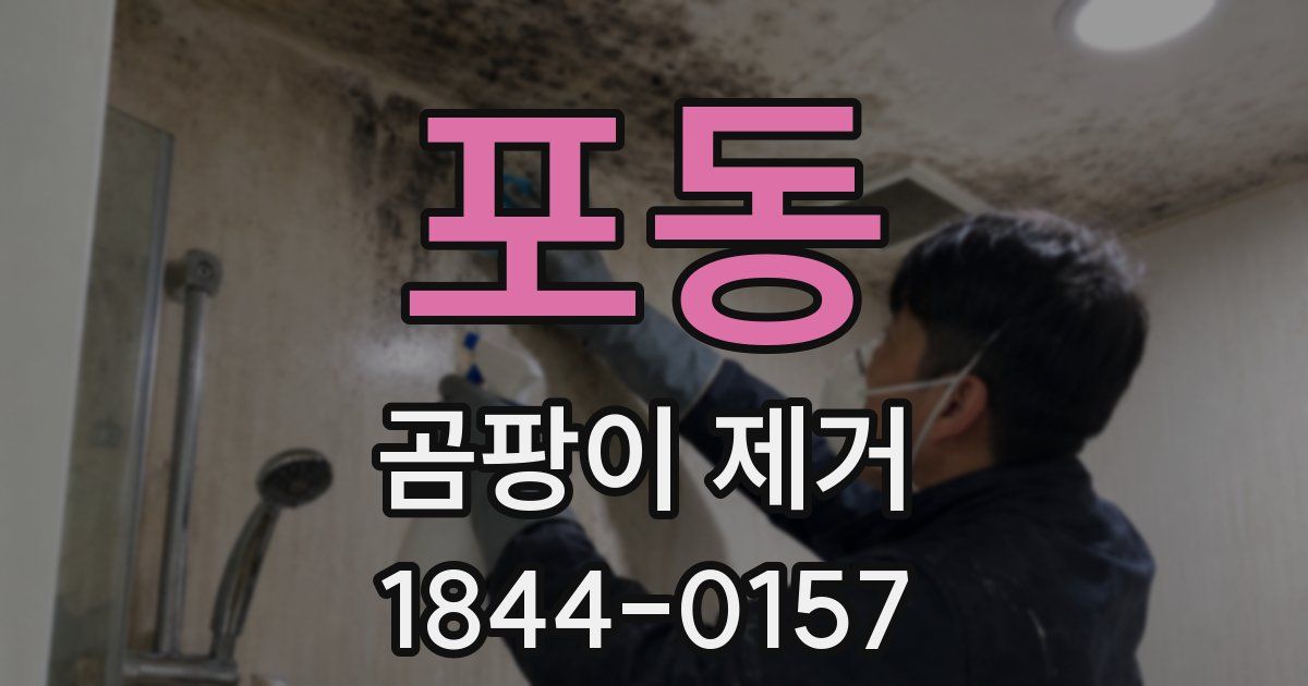 포동 곰팡이 제거