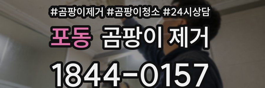 포동 곰팡이 제거
