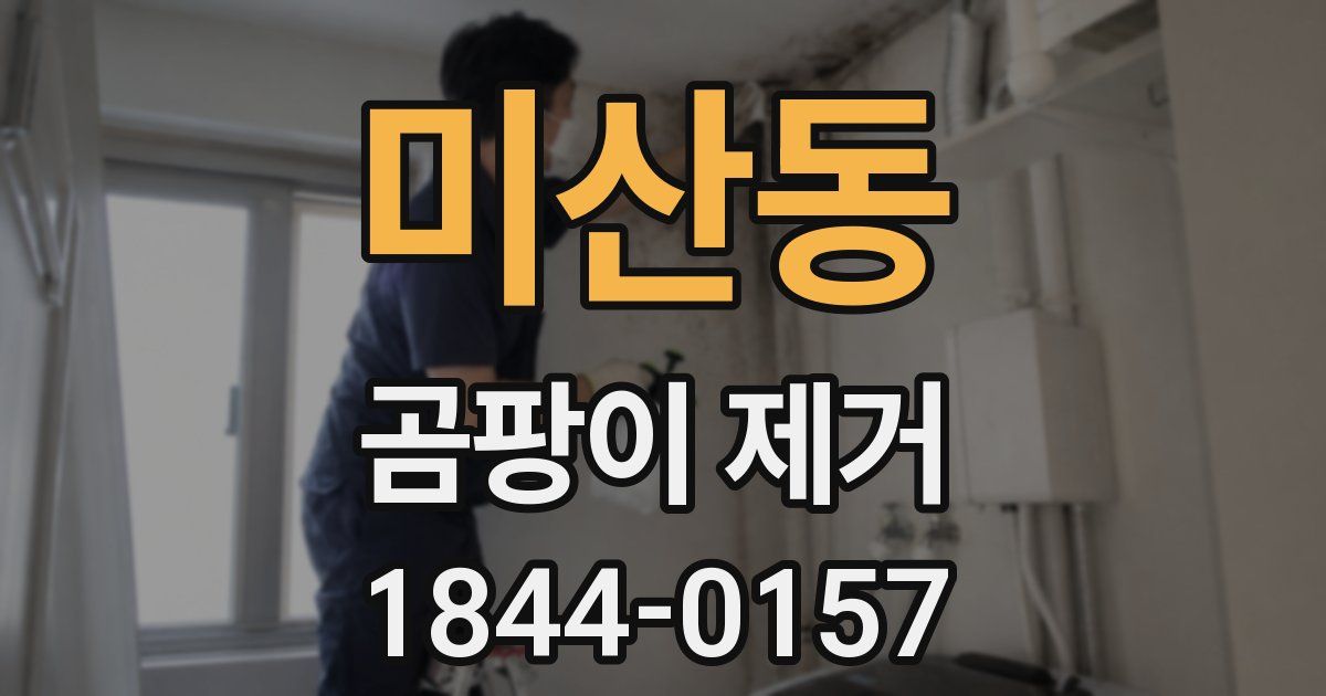 미산동 곰팡이 제거