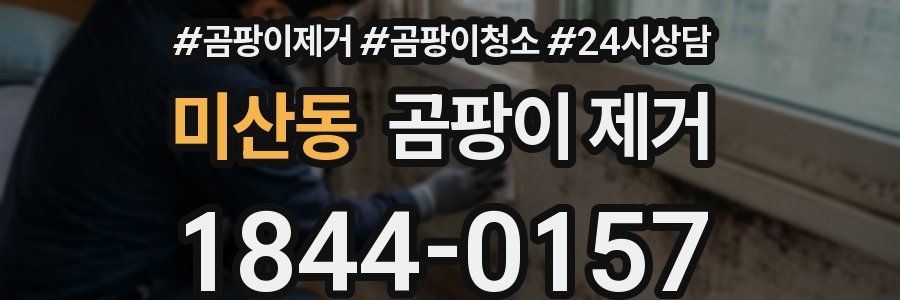 미산동 곰팡이 제거