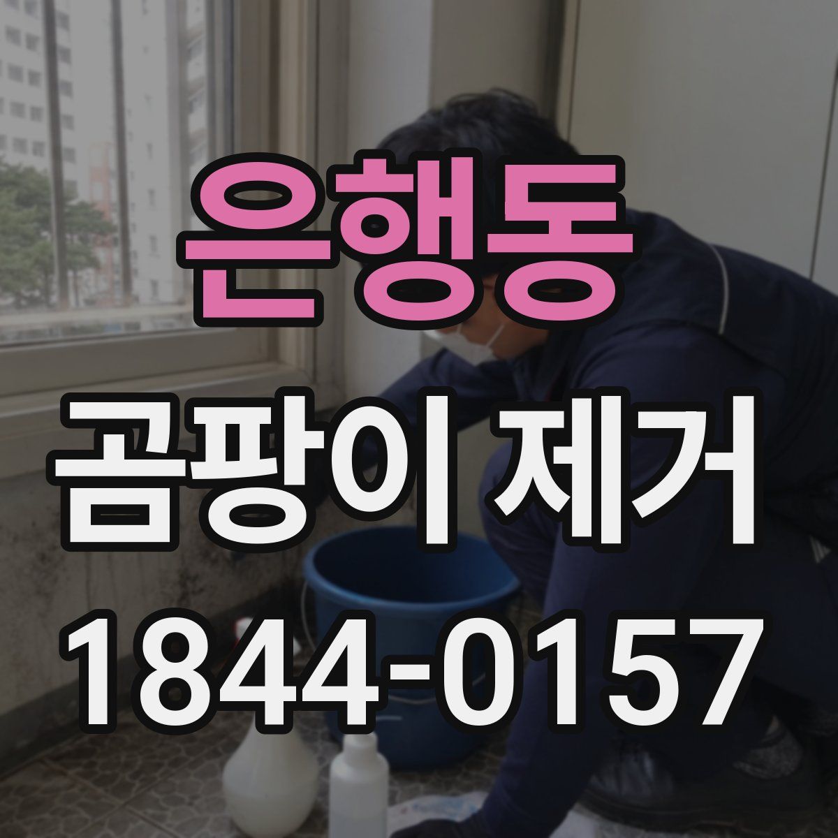 은행동 곰팡이 제거