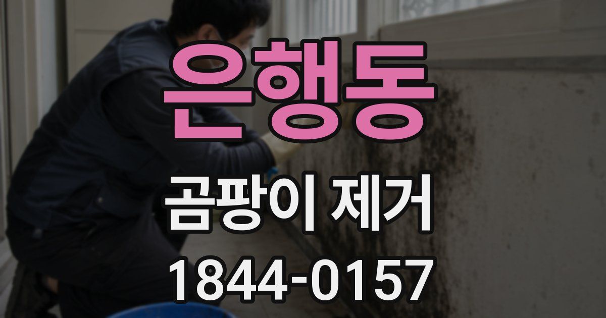 은행동 곰팡이 제거