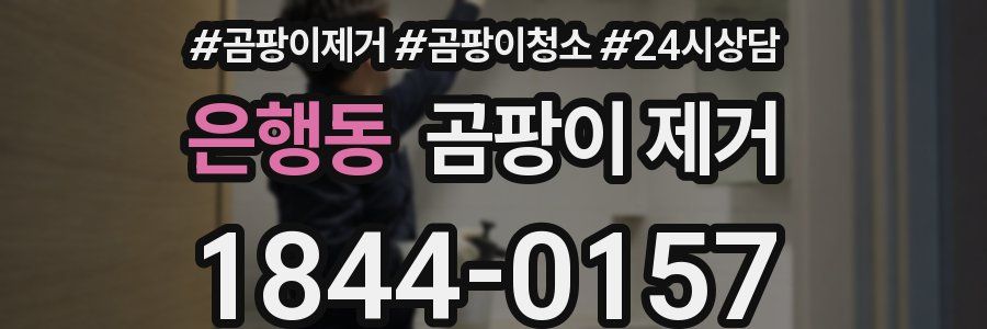 은행동 곰팡이 제거