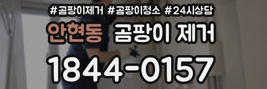 안현동 곰팡이 제거