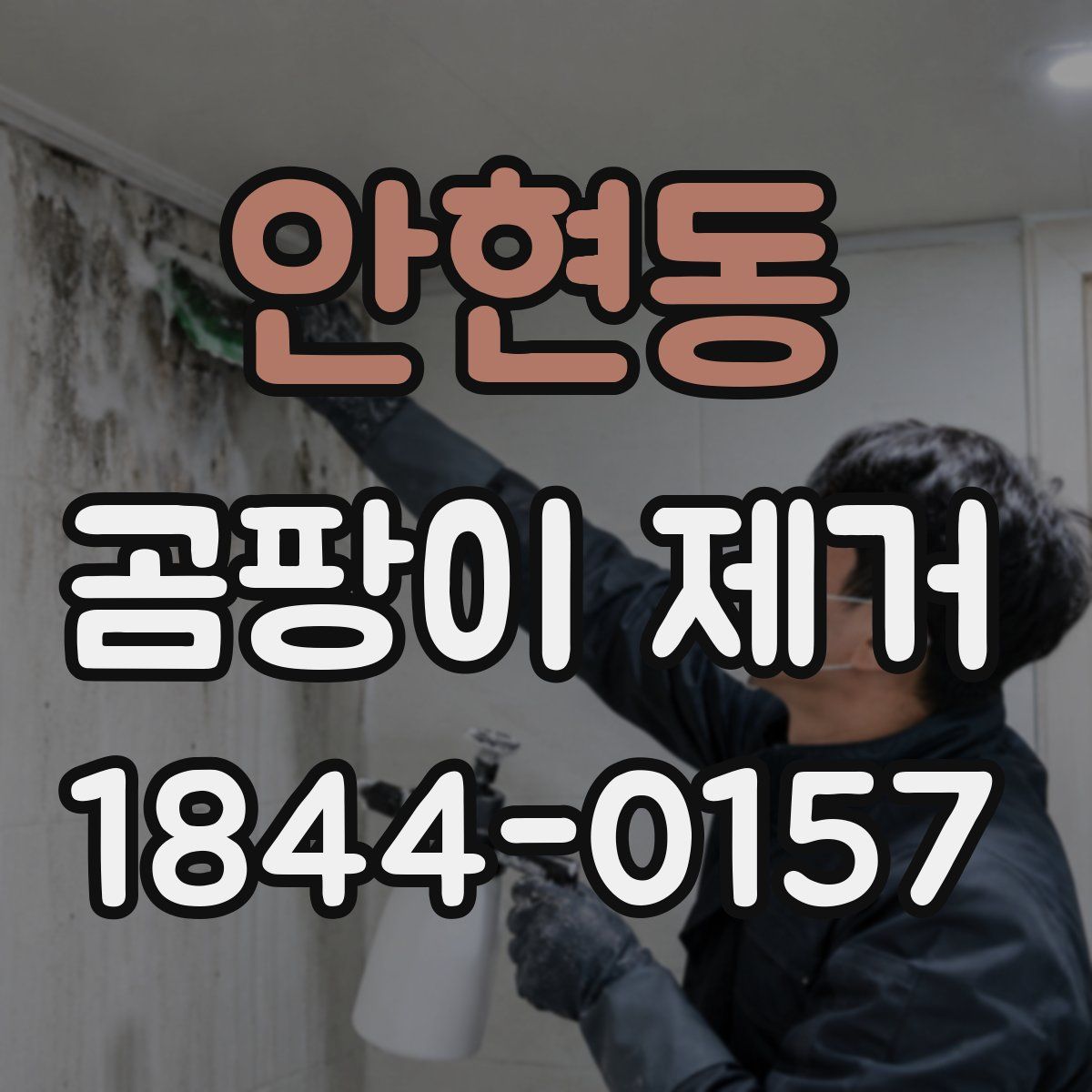안현동 곰팡이 제거